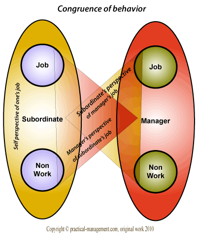 Behavior Congruence