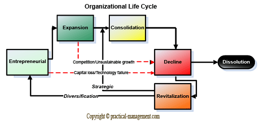 Organization life cycle